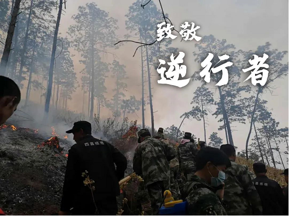 西昌森林大火一線，凌宇攪拌車緊急變身運水車